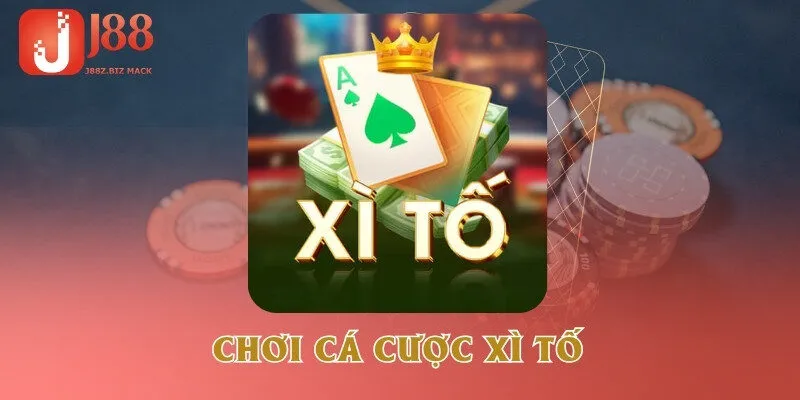 choi-ca-cuoc-xi-to