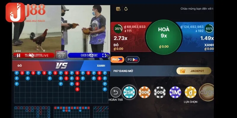 Đá gà Thomo có bình luận viên là gì?