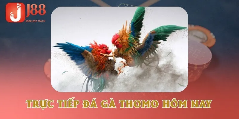 truc-tiep-da-ga-thomo-hom-nay